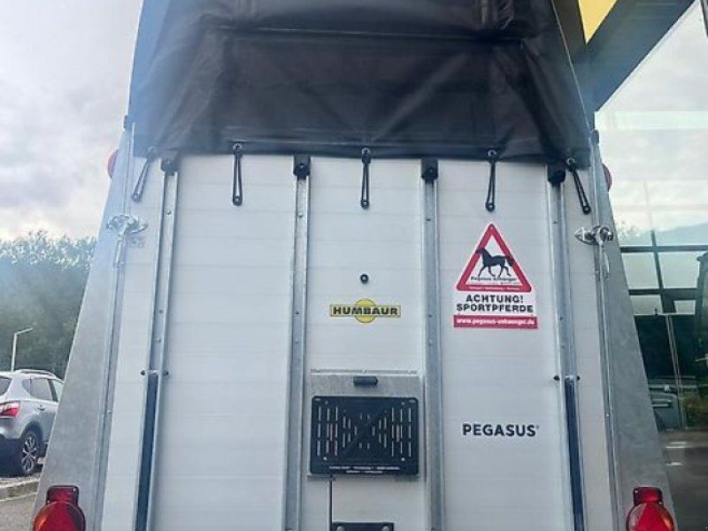 Humbaur Pegasus 2 Pferde  Panorama SK Alu 2,4t.