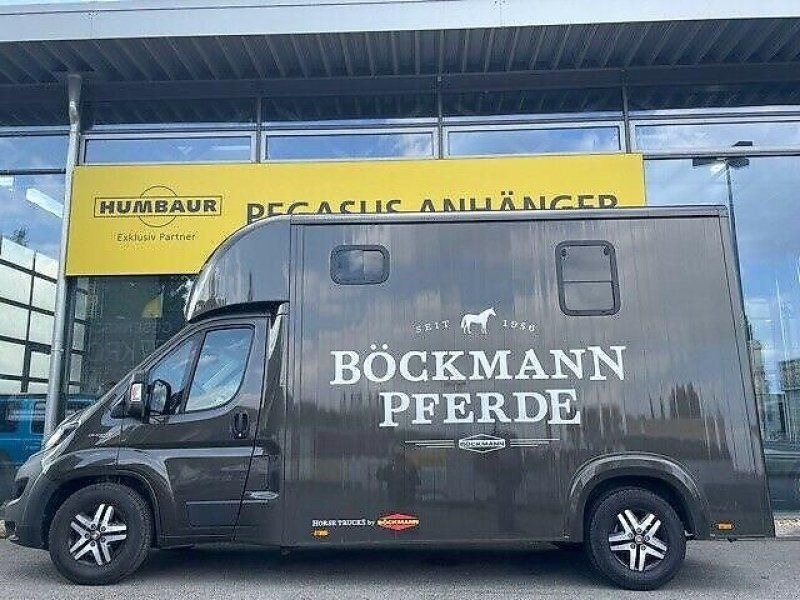 Vermietung 2- Pferdeer / Pferdehänger.......