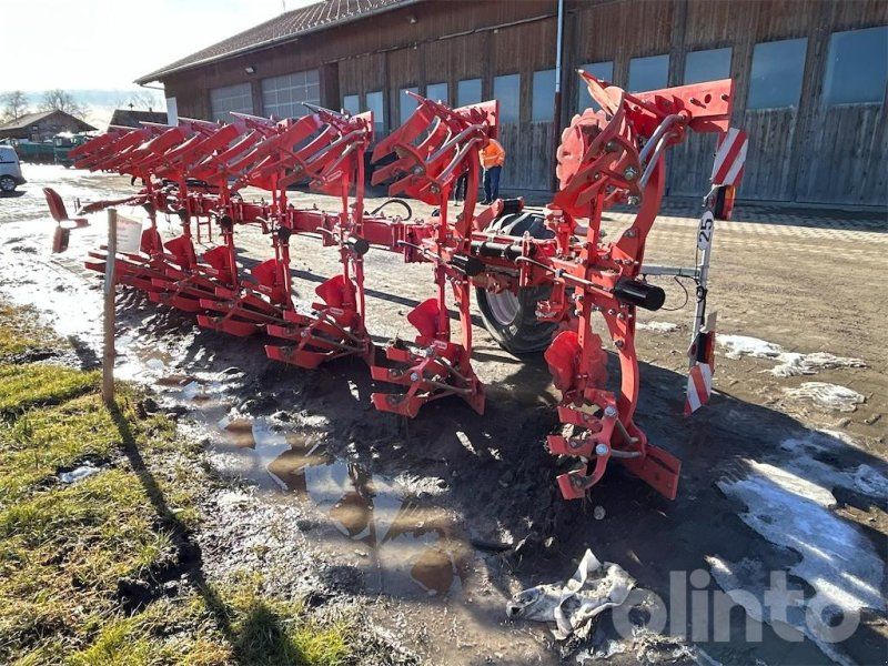 Maschio Mirco NS V 7 + 0