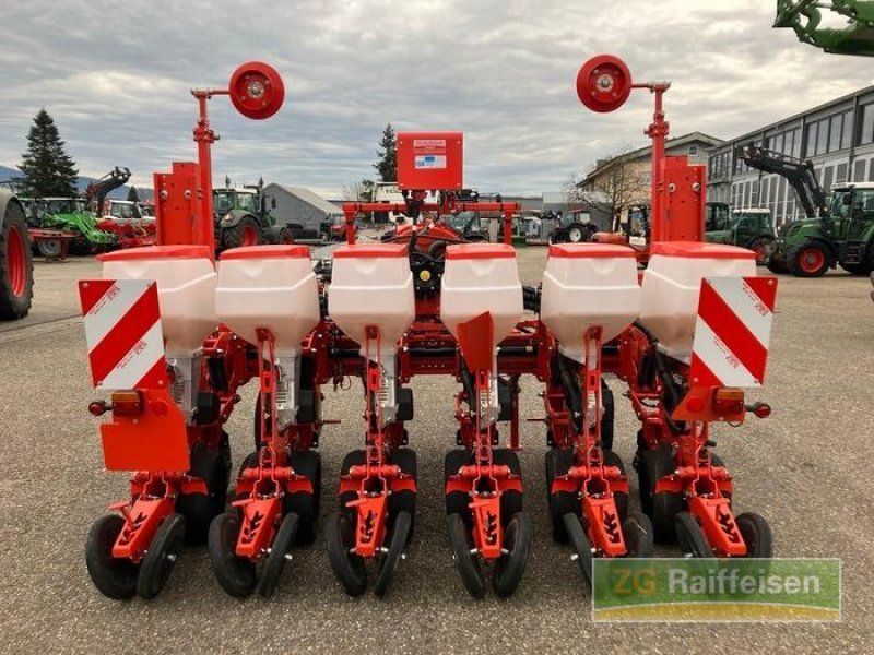 Maschio Maissägerät Magica 6 R