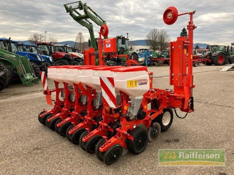 Maschio Maissägerät Magica 6 R