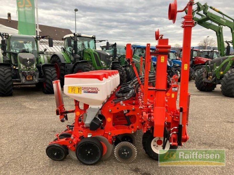 Maschio Maissägerät Magica 6 R