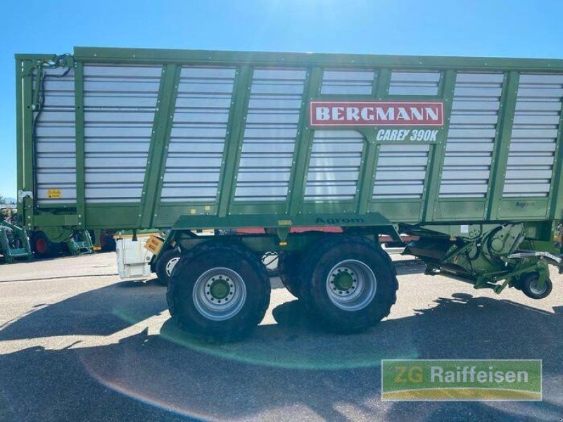 Bergmann L. CAREX390K