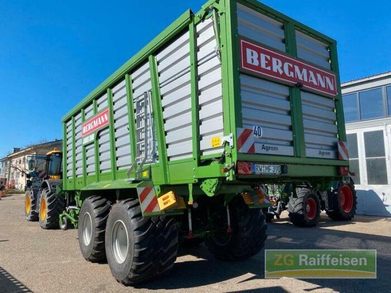 Bergmann L. CAREX390K