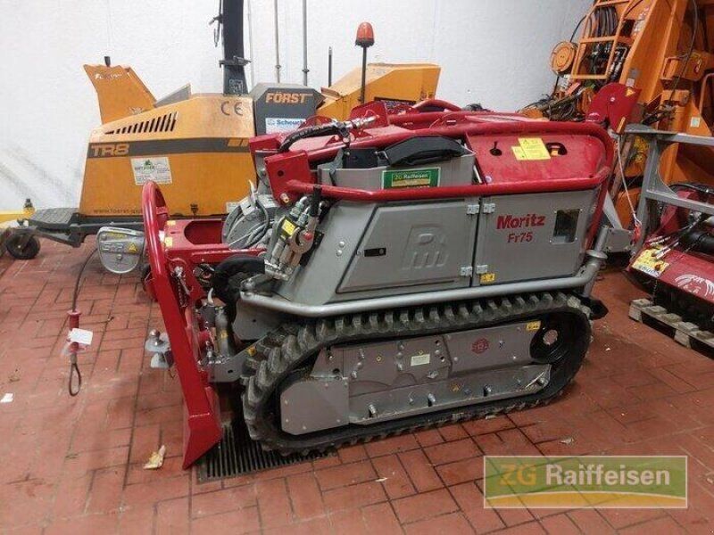 Schlang & Reichart Moritz FR 75