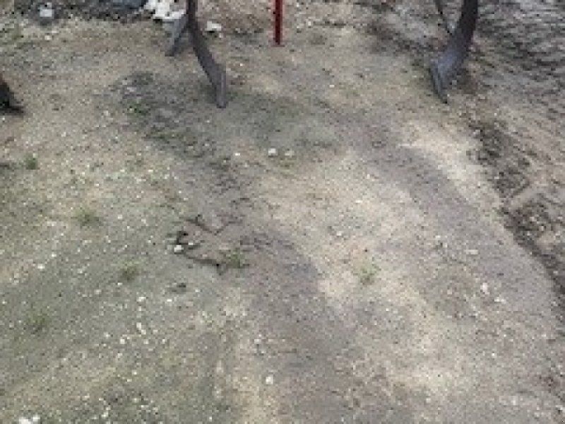 Marsk Stig Ratoon 4 Tands