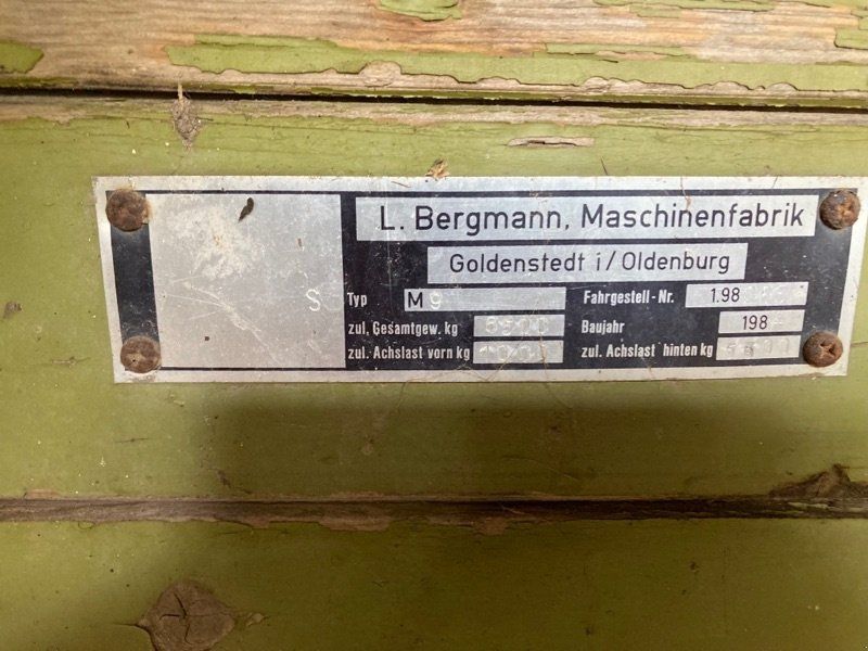 Bergmann
