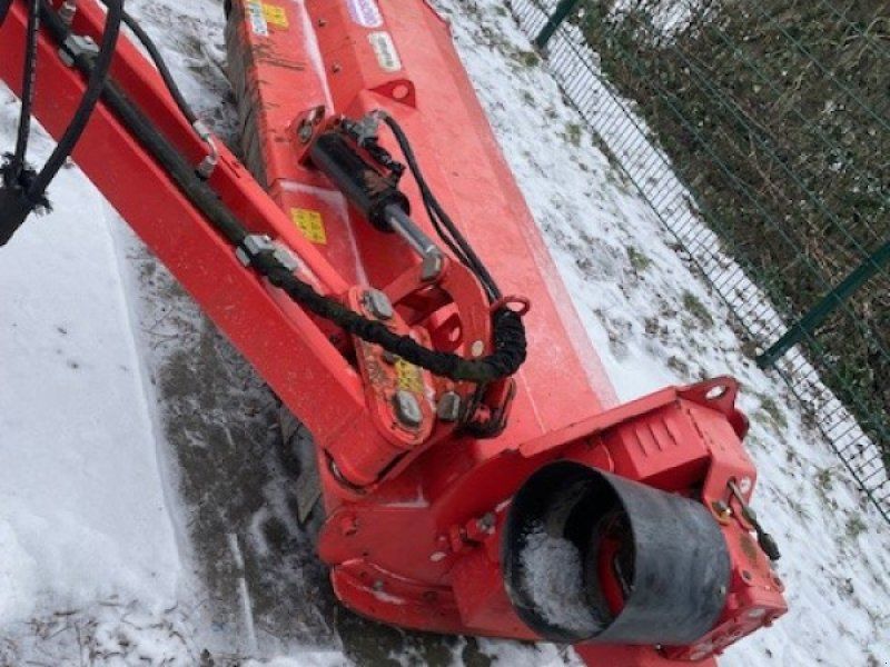 Maschio Giraffa 185