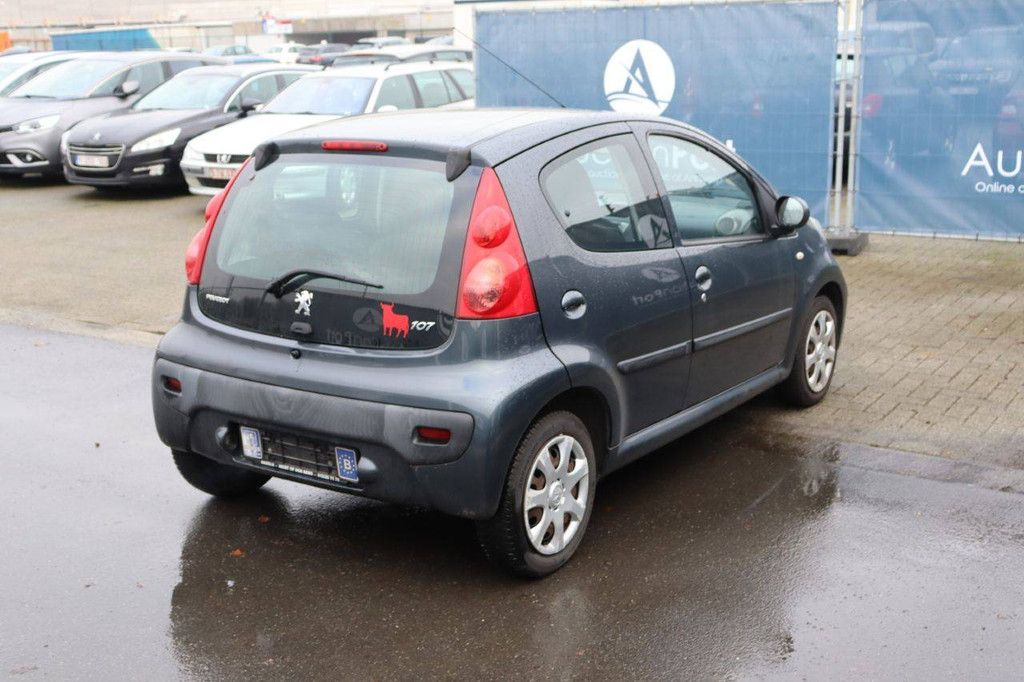 Passenger car Peugeot 107 Diesel 54 hp 2010 (Margin)