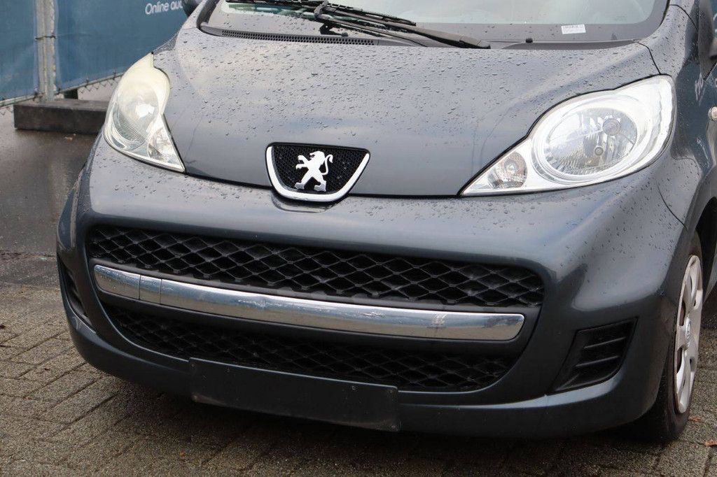 Passenger car Peugeot 107 Diesel 54 hp 2010 (Margin)