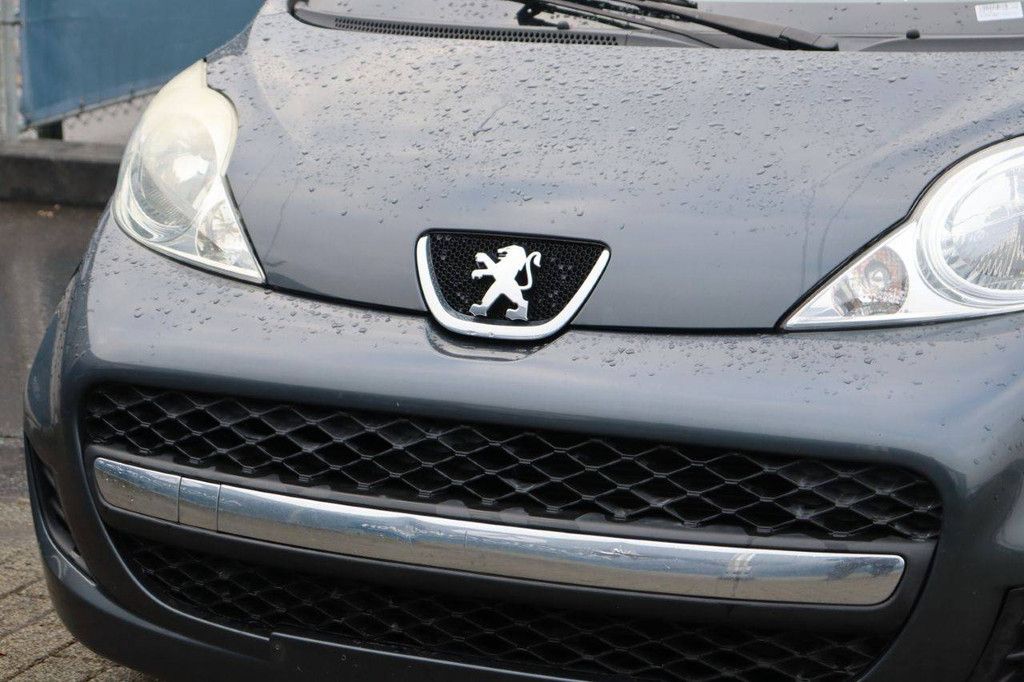 Passenger car Peugeot 107 Diesel 54 hp 2010 (Margin)