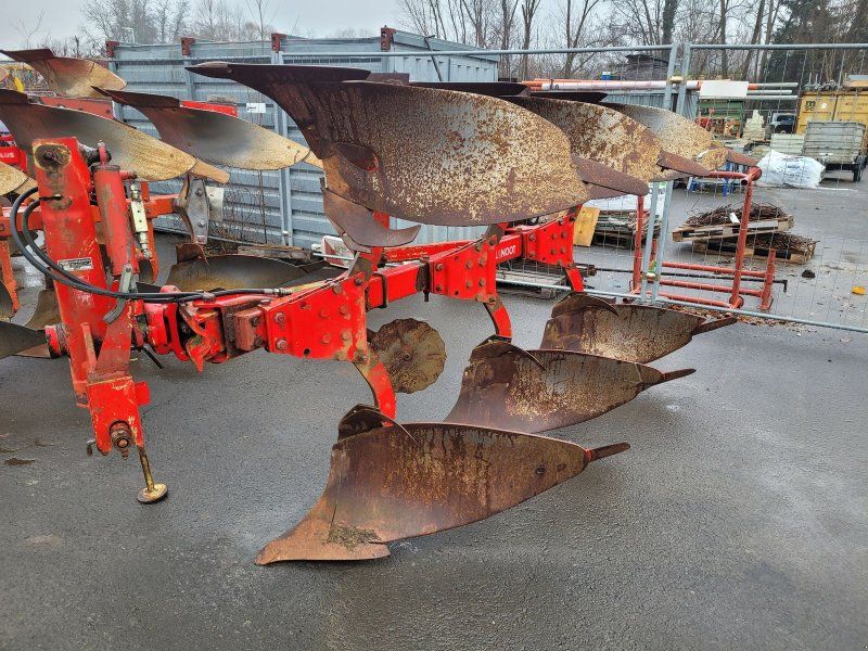 Vogel & Noot 3 Schar