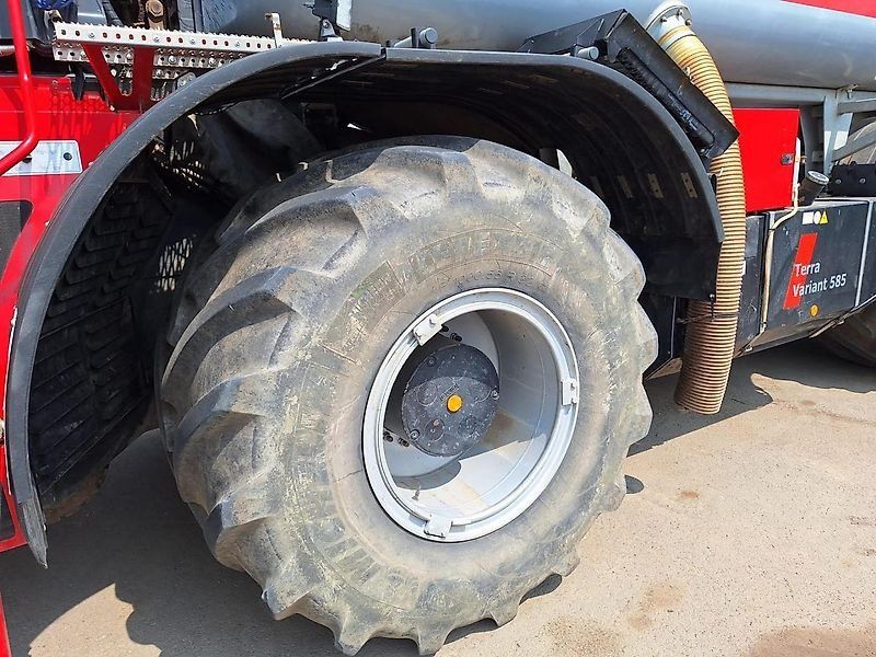 Holmer Terra Variant 585