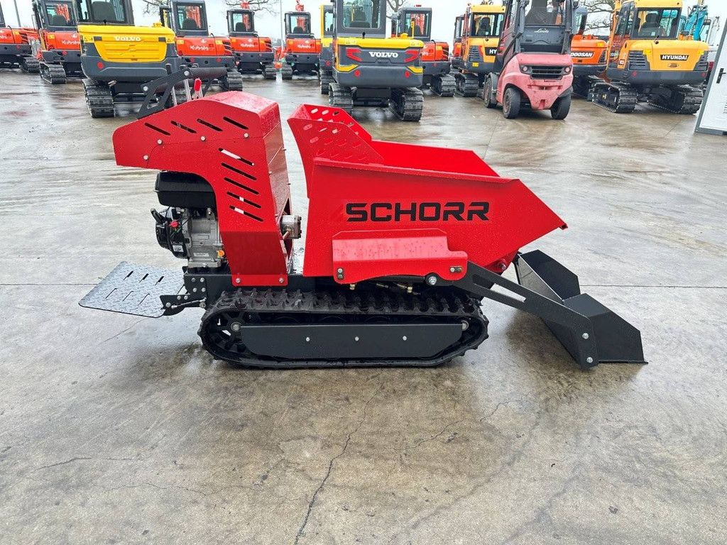 Minidumper Schorr RR500 Benzine 2025 Nieuw
