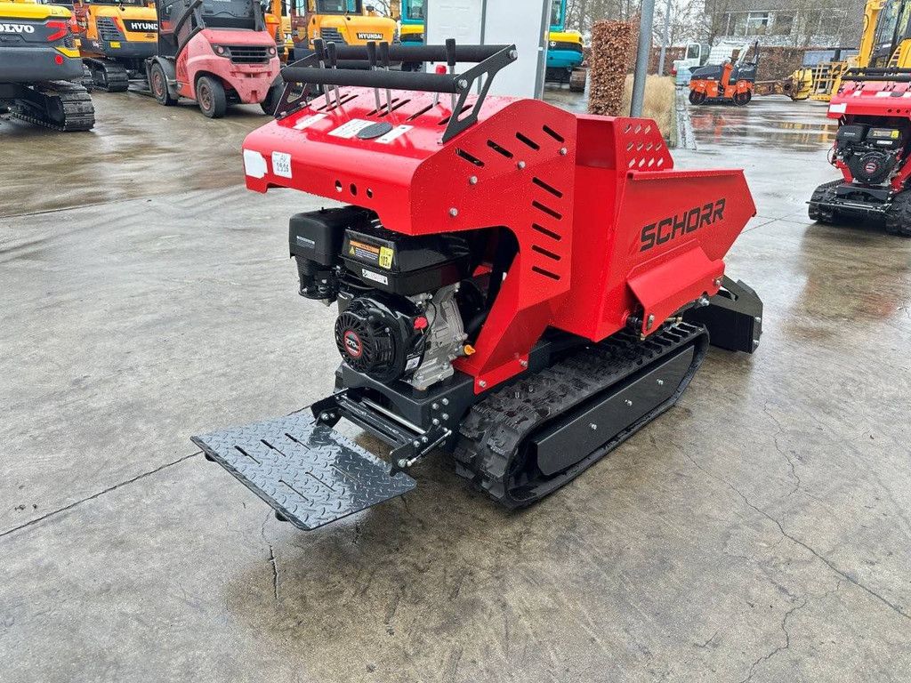 Minidumper Schorr RR500 Benzine 2025 Nieuw