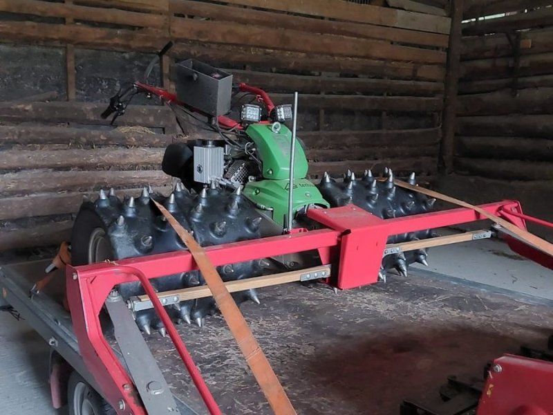 Rapid Motormäher Varea M231