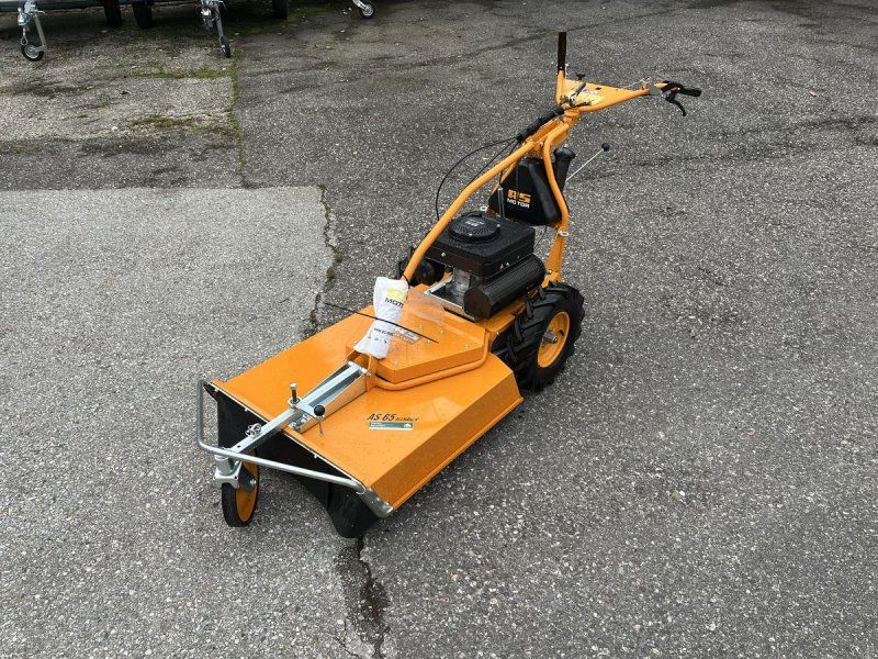 AS Motor AS 65 2T ES