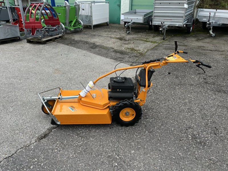 AS Motor AS 65 2T ES