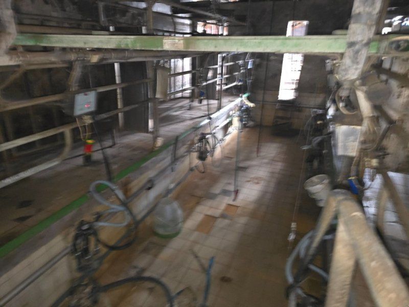 Westfalia Melkstand side by side