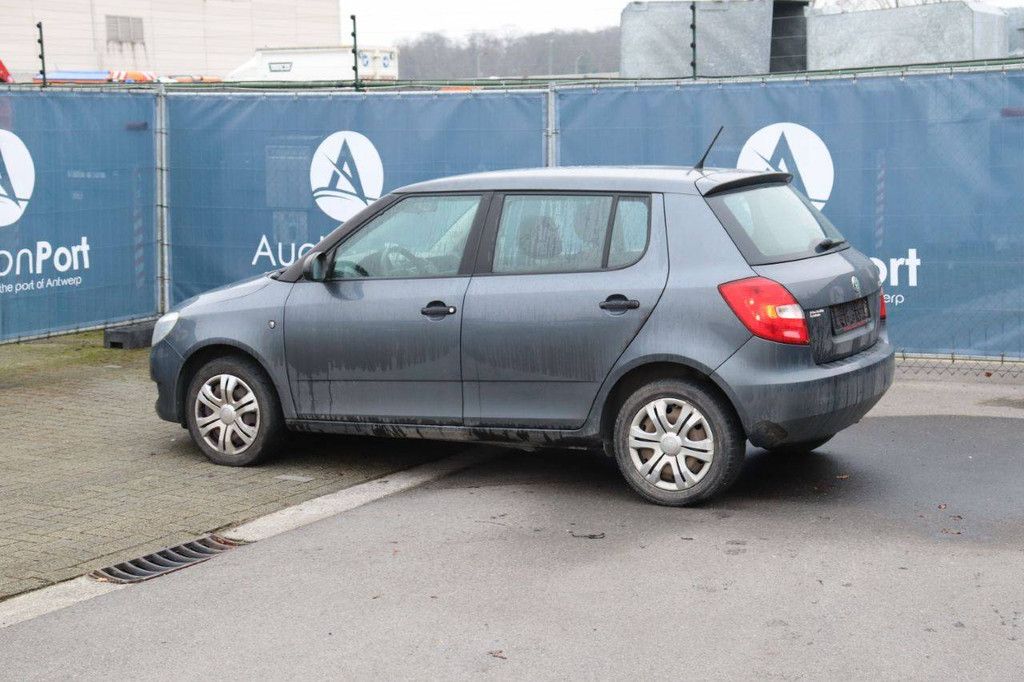 Passenger car Skoda Fabia Petrol 60hp 2011 (Margin)