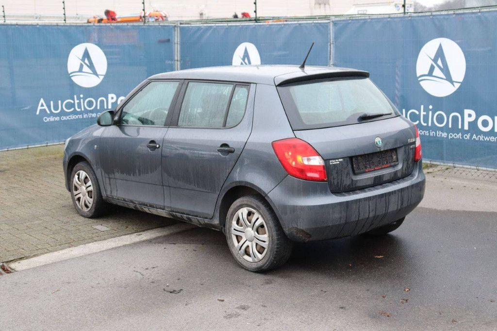 Passenger car Skoda Fabia Petrol 60hp 2011 (Margin)