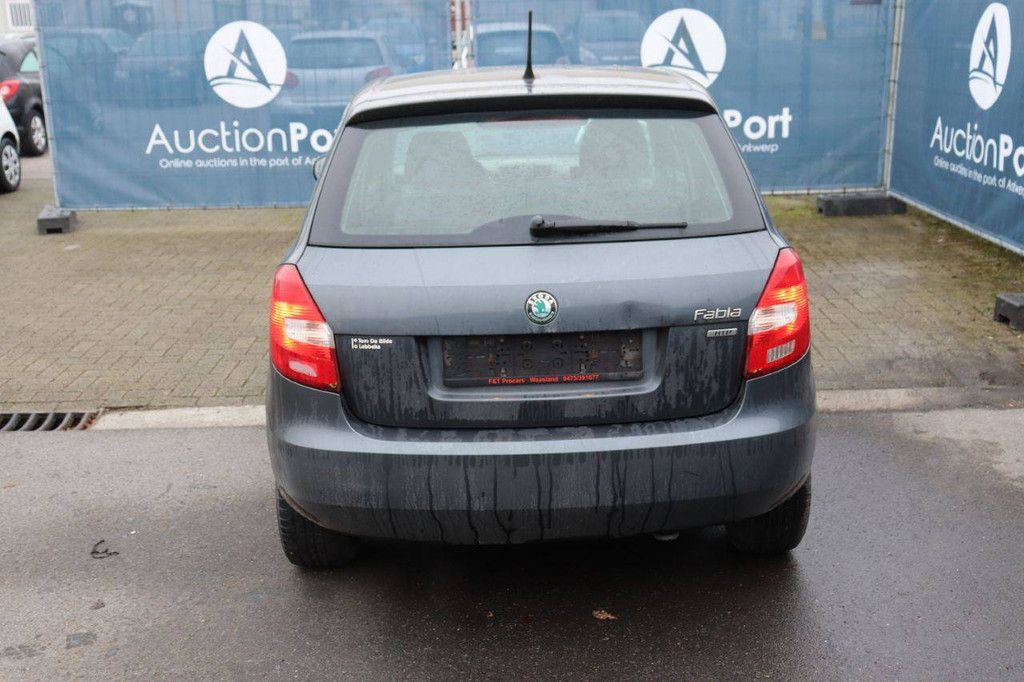 Passenger car Skoda Fabia Petrol 60hp 2011 (Margin)