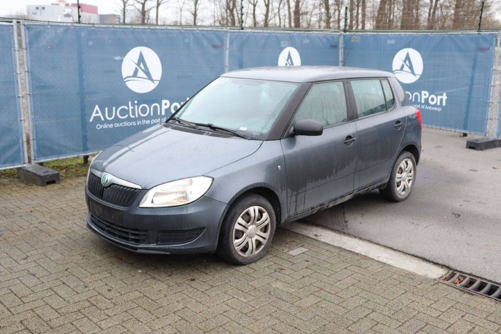 Passenger car Skoda Fabia Petrol 60hp 2011 (Margin)