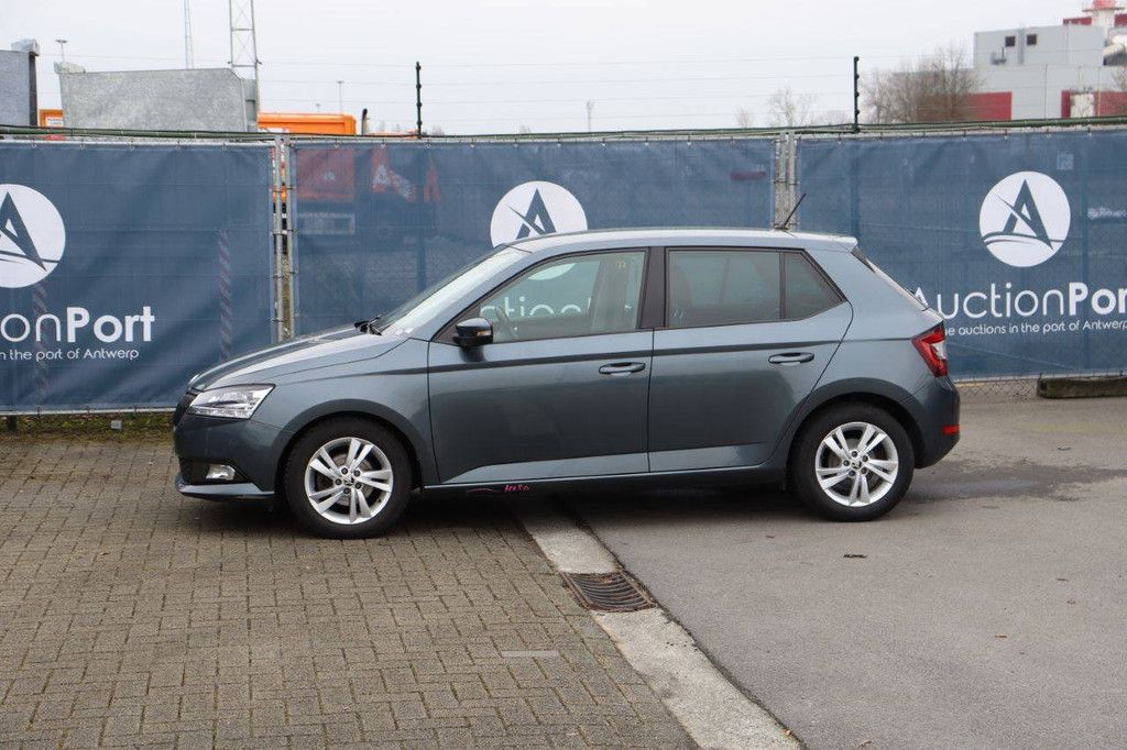 Passenger car Skoda Fabia Petrol 95 hp 2021 (Margin)