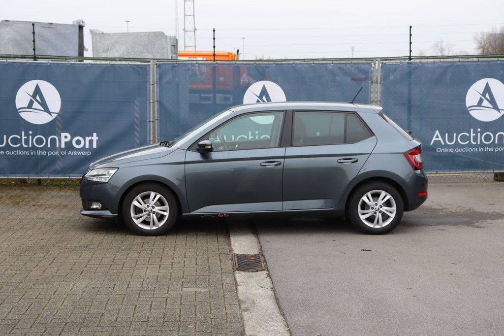 Passenger car Skoda Fabia Petrol 95 hp 2021 (Margin)