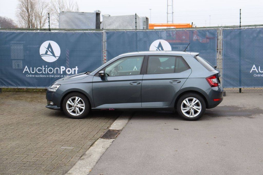 Passenger car Skoda Fabia Petrol 95 hp 2021 (Margin)