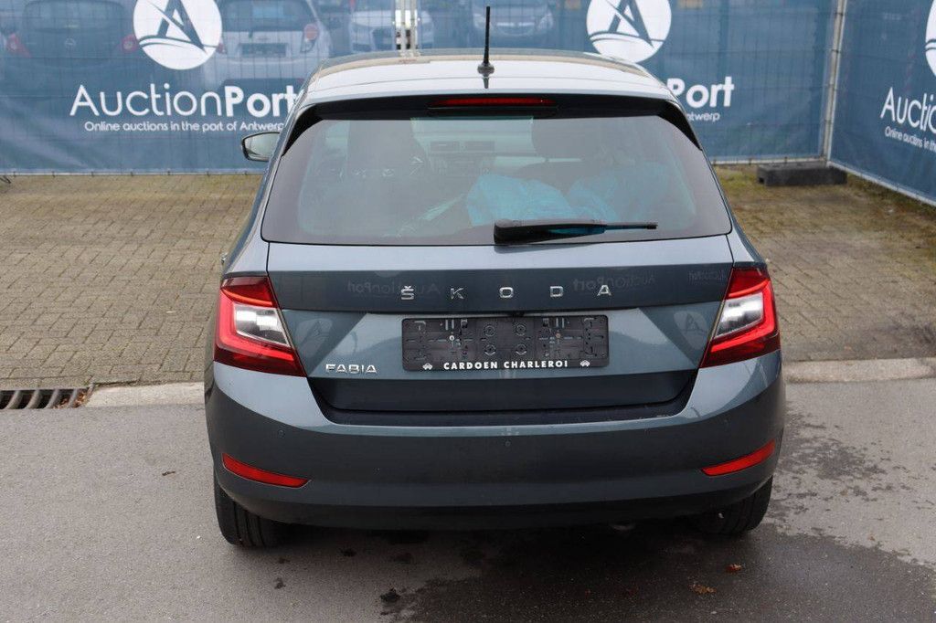 Passenger car Skoda Fabia Petrol 95 hp 2021 (Margin)