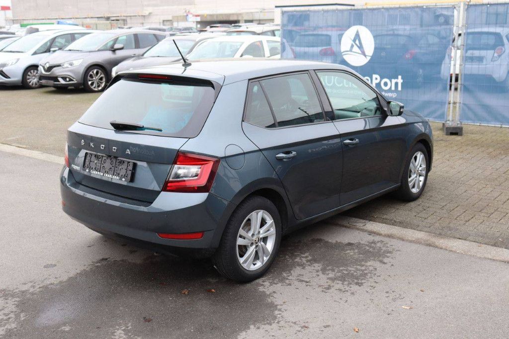 Passenger car Skoda Fabia Petrol 95 hp 2021 (Margin)