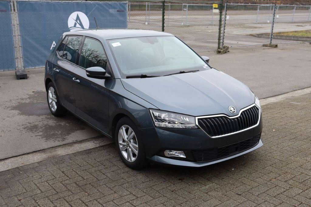 Passenger car Skoda Fabia Petrol 95 hp 2021 (Margin)