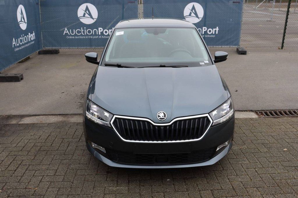 Passenger car Skoda Fabia Petrol 95 hp 2021 (Margin)