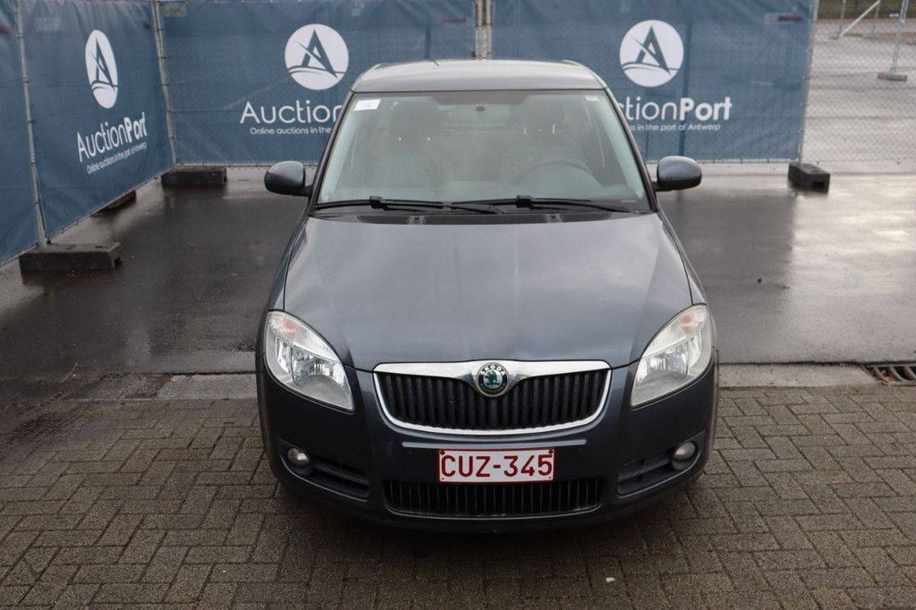 Passenger car Skoda Fabia Petrol 70hp 2009 (Margin)