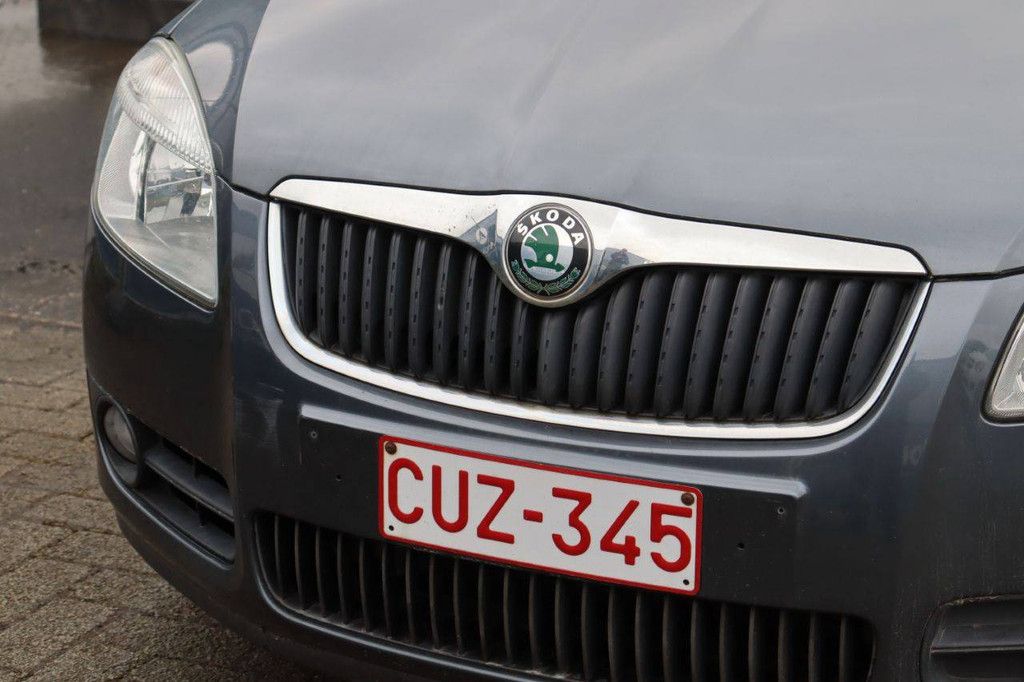 Passenger car Skoda Fabia Petrol 70hp 2009 (Margin)