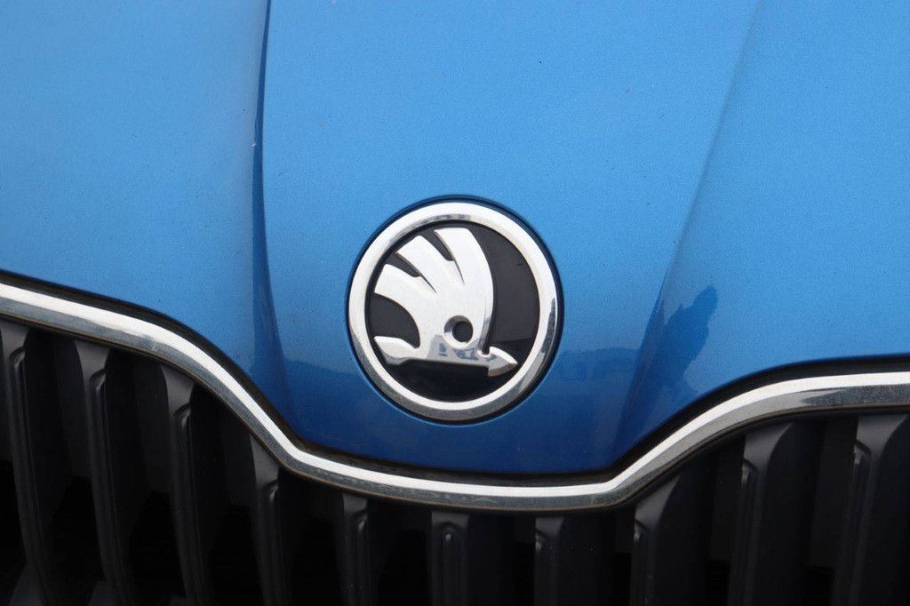 Passenger car Skoda Fabia Petrol 90hp 2015 (Margin)