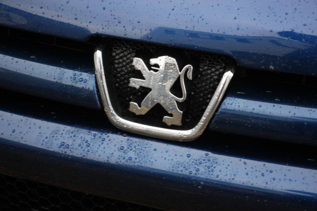 Station wagon Peugeot 206 Petrol 2006 (Margin)