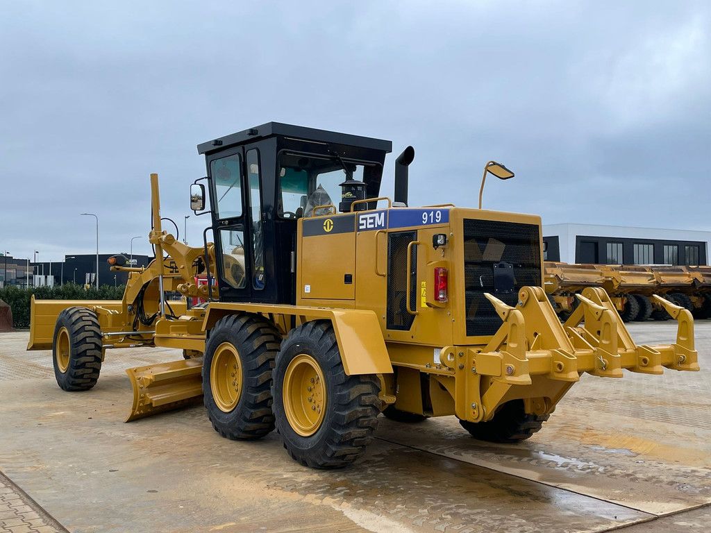 SEM 919