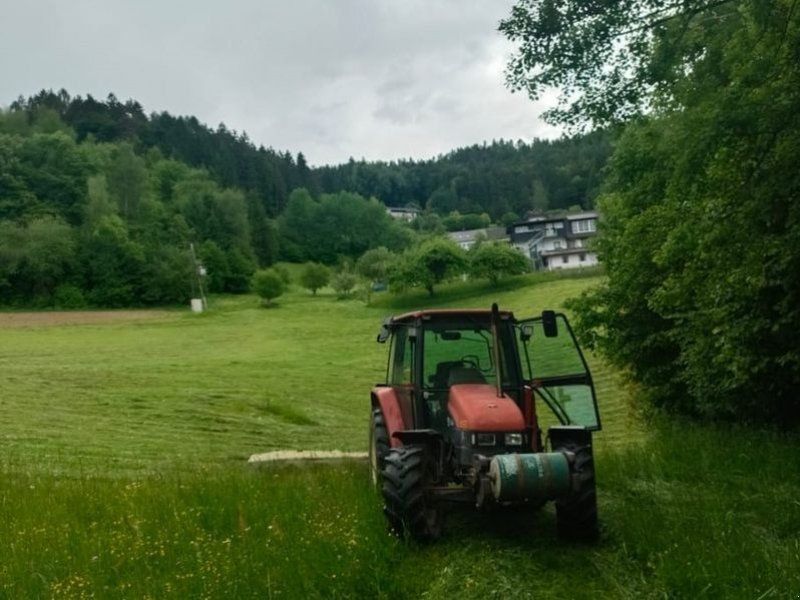 New Holland L 65 Standard