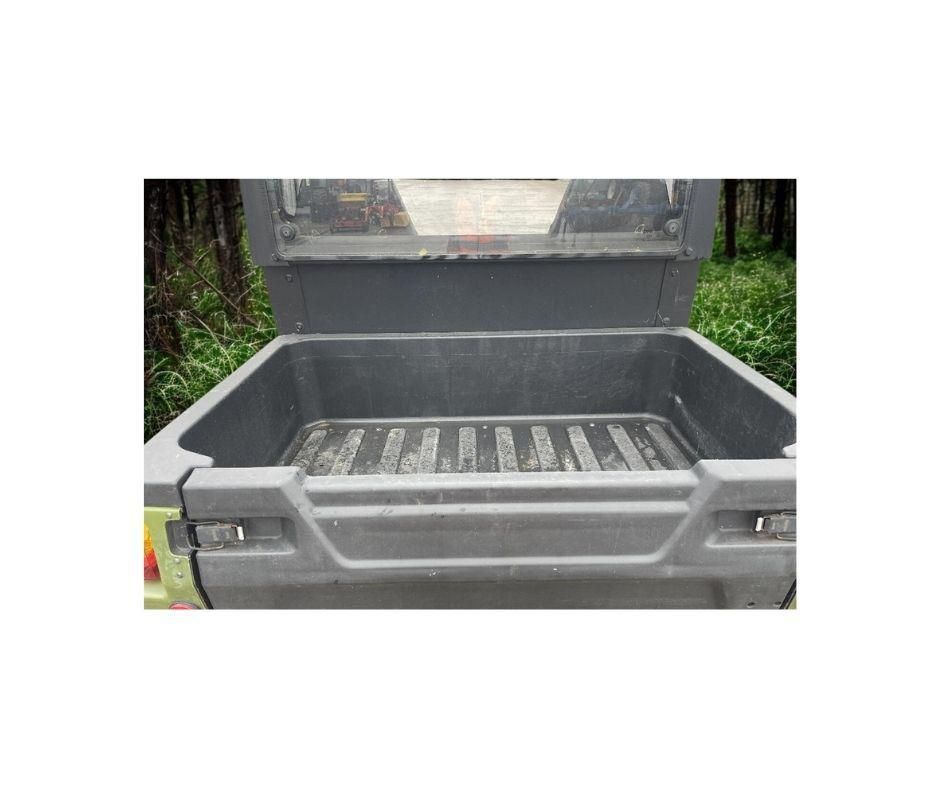 Nipper Electirc UTV Buggy