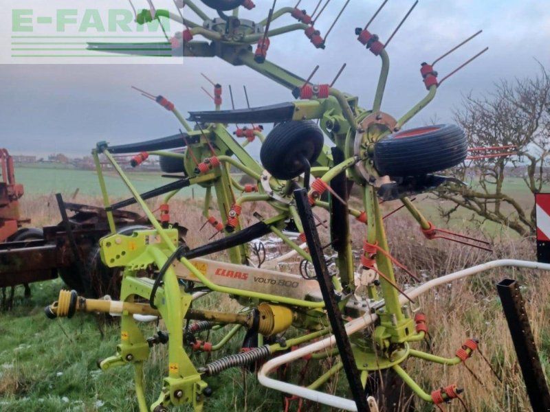 Claas VOLTO 800
