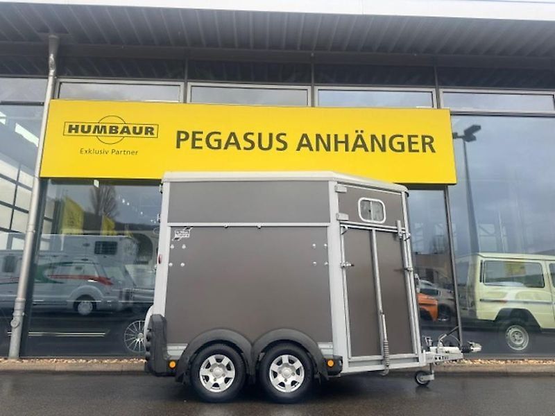 Ifor Williams HB 506 2-Pferde 2,6t FRONTAUSSTIEG
