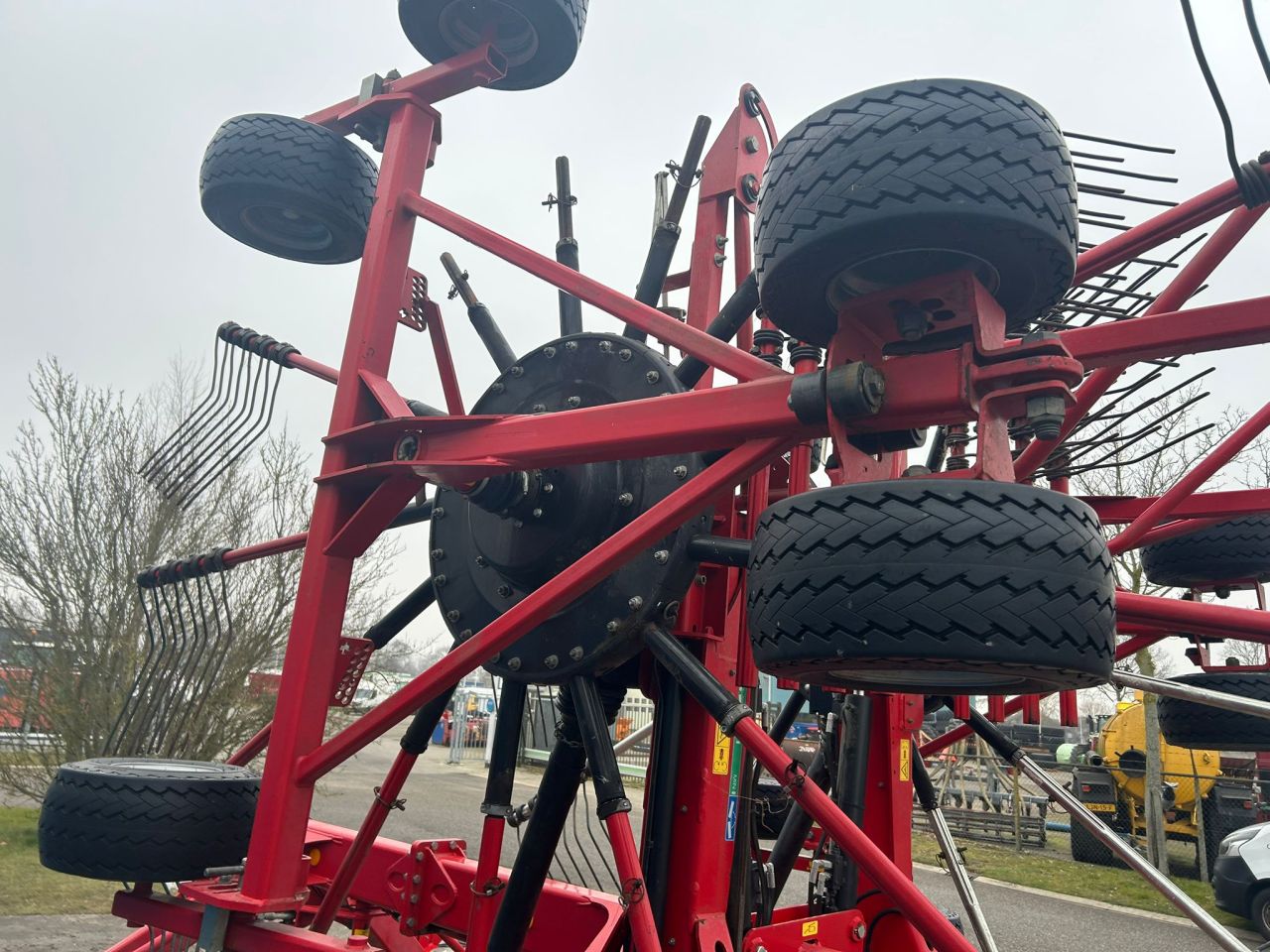 Lely Hibiscus 915 CD zwadhark