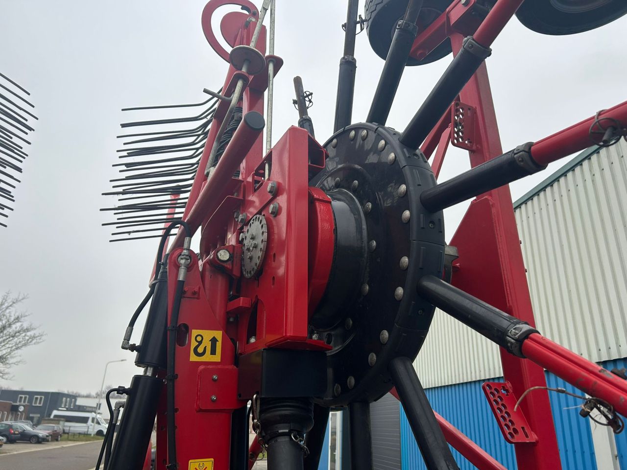 Lely Hibiscus 915 CD zwadhark