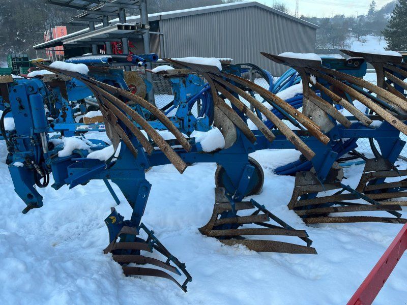 Rabe Supertaube GD IV