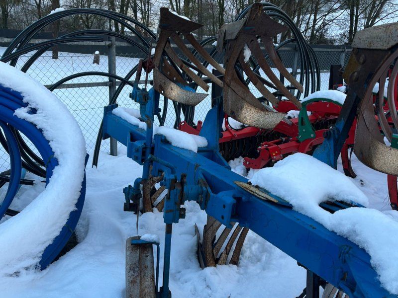 Rabe Supertaube GD IV