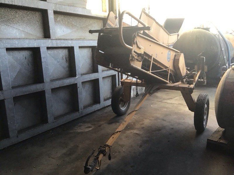 Kleine Rübenblattladeband