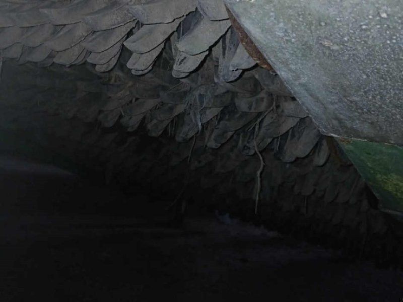 WM Kartoffeltechnik ROCKSTAR 1532