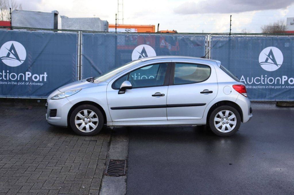 Pkw Peugeot 207 Benzin 73 PS 2009 (Margin)